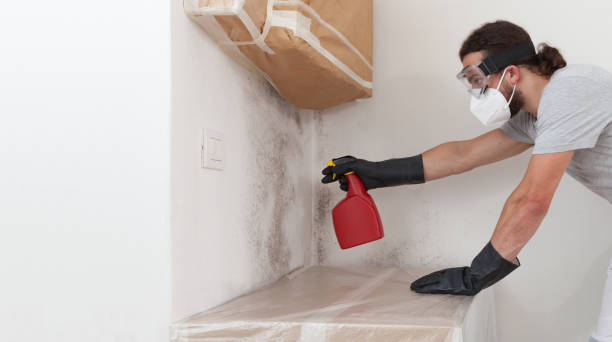Attic Mold Remediation treatment on roof deck in Southampton